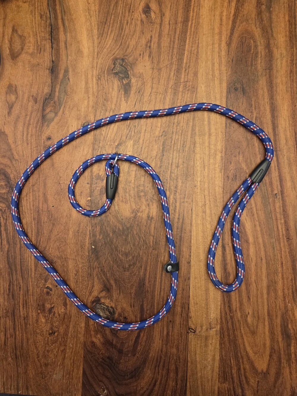 Slip Collar Dog Leash